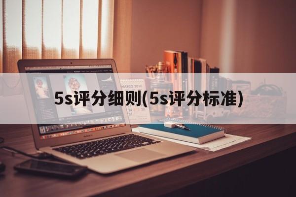 5s评分细则(5s评分标准)